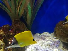 -洛阳龙门海洋馆