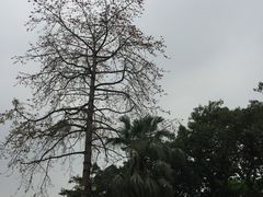 -广州市紫泥堂文化创意园景区