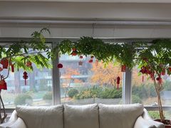 -精德口腔·种植修复·儿牙中心(财富中心店)