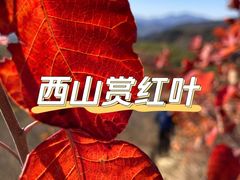 -北京西山国家森林公园