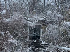 -紫金山山顶公园
