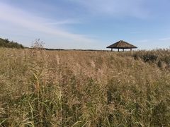 -西青郊野公园