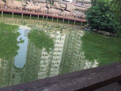 -贮水山儿童公园
