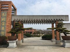 景点-上海海湾国家森林公园