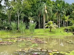 -中国科学院西双版纳热带植物园