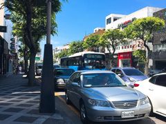 -宝健路步行街(Pedestrian Shopping Street)