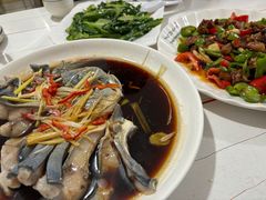 -煲来饱去冷水鱼