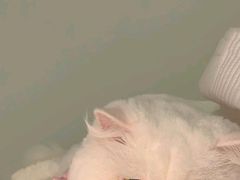 -幸福西饼生日蛋糕·下午茶(巴南店)