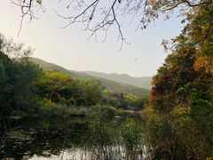 -国家植物园南园