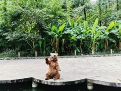 -贵州森林野生动物园