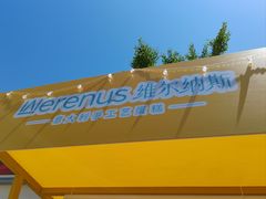 -维尔纳斯·生日蛋糕动物奶油冰淇淋蛋糕(人大店)