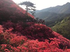 -木兰云雾山