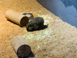 -酷嗒动物文化乐园(cutezoo西溪乐天城店)