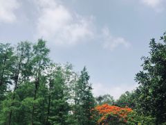 -晓港公园