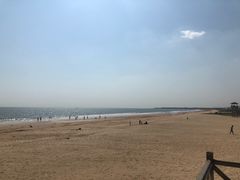 -日照海滨国家森林公园
