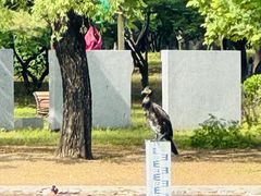 -太阳宫公园