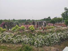 -尚贤河湿地
