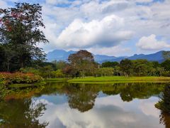 -中国科学院西双版纳热带植物园