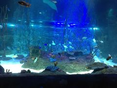 -沈阳海洋探索中心