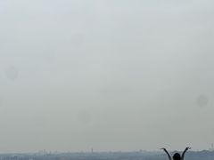 -北京凤凰岭