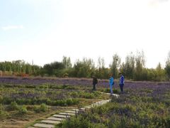 -赛汗塔拉风情园