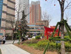 -河南中医药大学第一附属医院-医疗整形