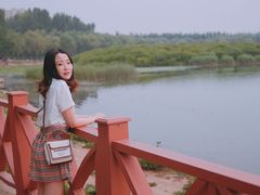 -丁香湖公园