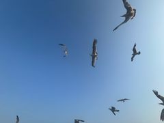 -星海广场