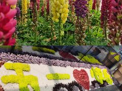 -南通洲际绿博园