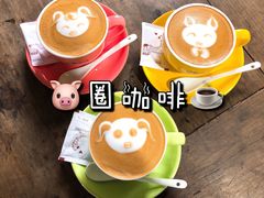 猪圈特色咖啡-猪圈咖啡