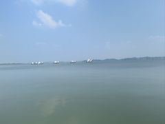 -鄱阳湖国家湿地公园
