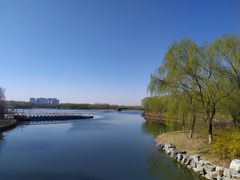 -大兴滨河森林公园