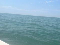 -日照海滨国家森林公园