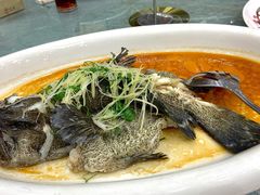 清蒸石斑鱼-寻味顺德·珍之宝酒楼(银钻店)