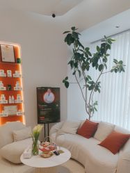 -WENDY·温迪皮肤管理