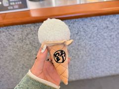-野人先生Gelato(上海长宁龙之梦店)
