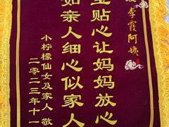 -田螺阿姨自营月嫂·育儿嫂(高新店)