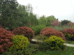 -贵阳市花溪国家城市湿地公园