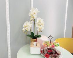 -MIVI野生眉纹绣纹眉