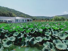 -龙寺生态园