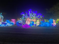 -长兴太湖图影湿地文化园