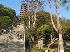 -红花山公园