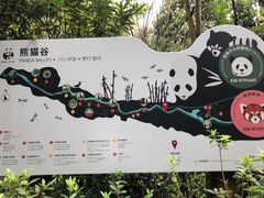 -都江堰中华大熊猫苑