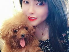 -more than meow吴止猫主题餐厅(承德 中船汇店)