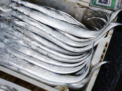 -中国舟山国际水产城