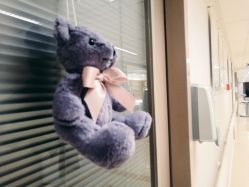 -杭州贝瑞斯美华妇儿医院·早孕·产检·儿科