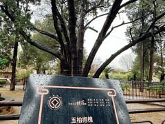 -孔府
