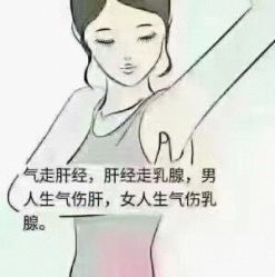 点击看大图 -香薇妮丝女子减肥院