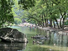 -鹿亭中村