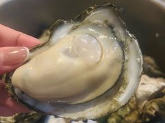 清蒸大生蚝-土蚝·高压锅生蚝(百姓美食街店)